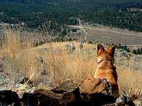 Nipper watches as Kris and I approach the summit.