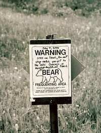 Bear Country