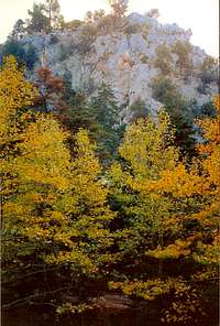 Autumn colours in the bank of Gkouras river