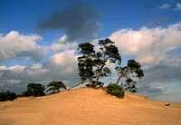 One of the famous sand dune's...