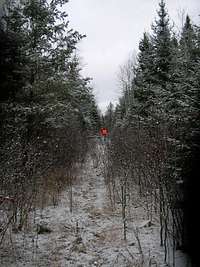 Logging Trail