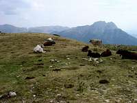 Pedraforca from El...