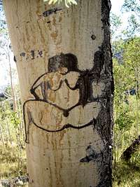 basque shepard tree porn