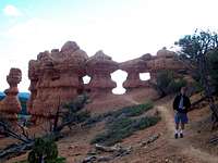 arches arches everywhere