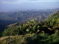 View from Cerro de Punta