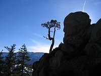 Twin Peak Boulder & Lone Tree