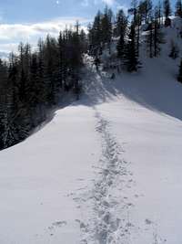 Hiking from the hut to top