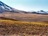 High Desert plains in Chile