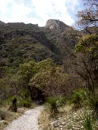 McKittrick Canyon