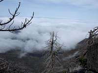 WNW view from Cuyamaca Peak