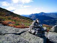 Rock cairn and alpine plants...
