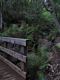 The wooden bridge across Fern Creek