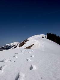 Loafer Mountain ridge