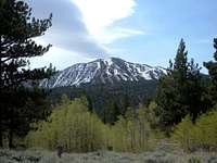 Slide Mountain from the SE Face of Mount Rose Trail