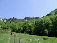 Above planina ( mountain pasture ) ...