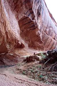 Grand Staircase-Escalante National Monument