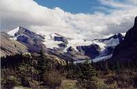 Mt. Robson (Coleman glacier )