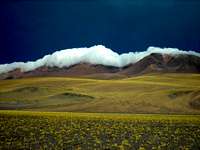 Puna de Atacama - Landscape 01