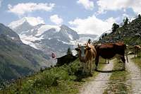 Quintessential Swiss scenery