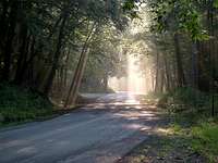 Trailhead Rays