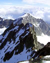 North Ridge of Rimpfischhorn