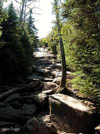 In the trail near the summit,...