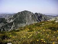 Peleaga peak