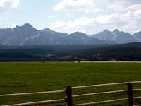 Cow Pasture in the Sawtooths