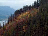 Angels Rest Fall Color