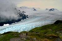 Exit Glacier Trail
