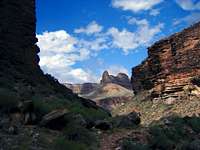 Grand Canyon Splendor