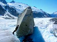 Erratic hugger, Vaughan Lewis Glacier, AK