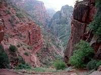 Descending the North Kaibab...
