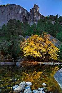 Yosemite NP - The Rostrum, Sunrise and Fall Color