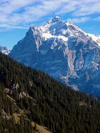 The Wetterhorn (3701 m)