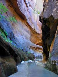 Orderville Canyon