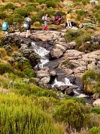 Mount Kenya Stream