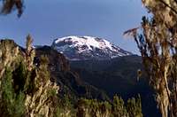 Umbwe to Kilimanjaro