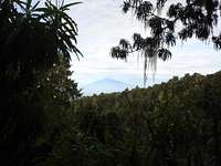 Mt. Meru through the Jungle