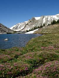 Shelf Lakes & Medicine Bow Peak