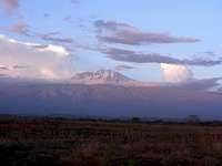 Kilimanjaro Images