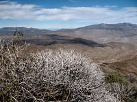 Atop Combs Peak 2/08