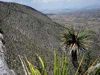 Landscape on the route up to Cerro de los Jarros