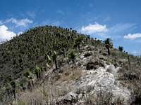 Beginning of the route up to Cerro de los Jarros