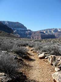 Tonto Trail with South Rim in background, Grand Canyon