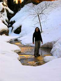 Zion in the Winter