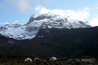 Kilimanjaro (Barraco Hut)