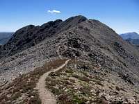 Trail up the summit ridge