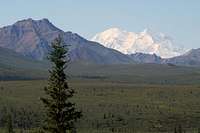 Denali from Mile 9