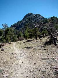 Summit View from Baldy Saddle